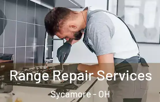  Range Repair Services Sycamore - OH