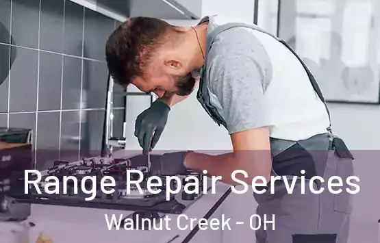  Range Repair Services Walnut Creek - OH