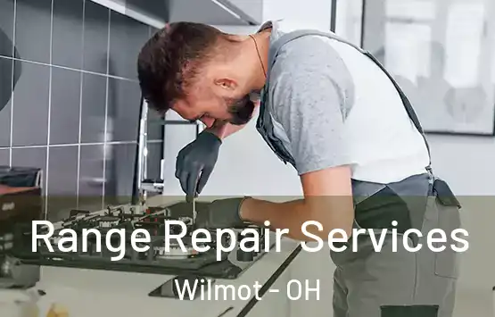  Range Repair Services Wilmot - OH