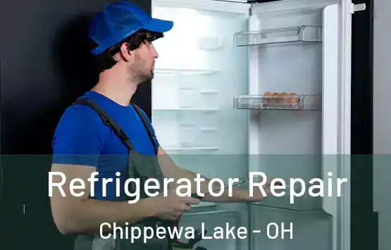  Refrigerator Repair Chippewa Lake - OH