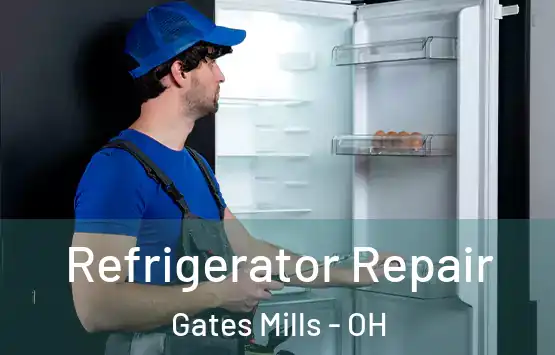  Refrigerator Repair Gates Mills - OH