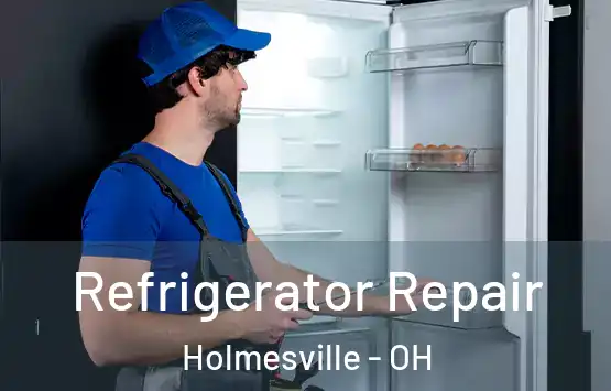  Refrigerator Repair Holmesville - OH