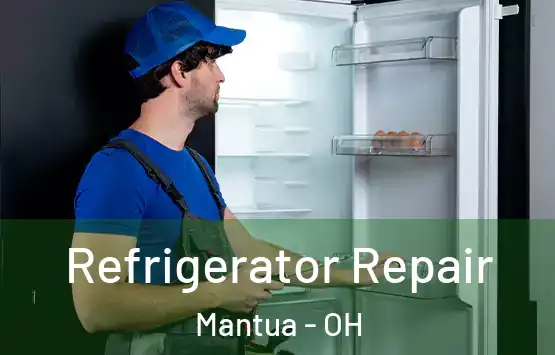  Refrigerator Repair Mantua - OH