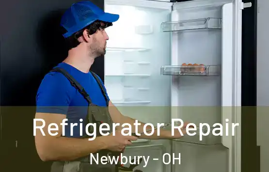  Refrigerator Repair Newbury - OH