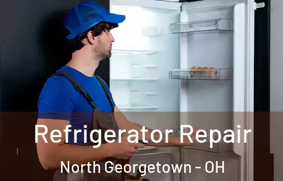  Refrigerator Repair North Georgetown - OH