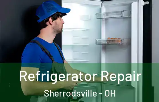  Refrigerator Repair Sherrodsville - OH