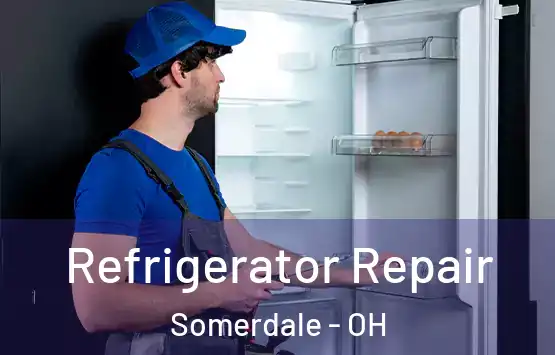  Refrigerator Repair Somerdale - OH