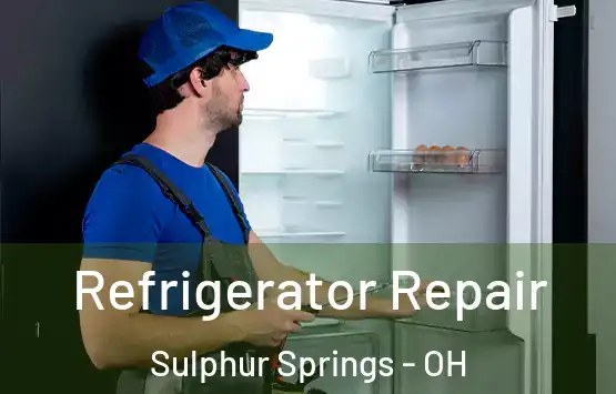  Refrigerator Repair Sulphur Springs - OH
