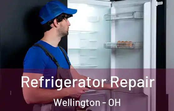  Refrigerator Repair Wellington - OH