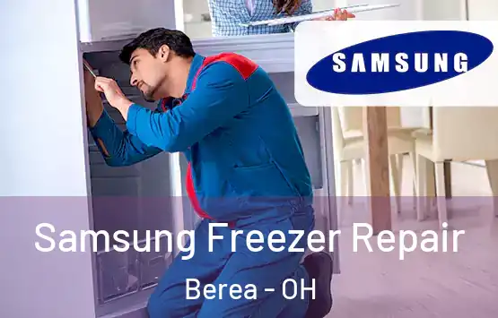  Samsung Freezer Repair Berea - OH