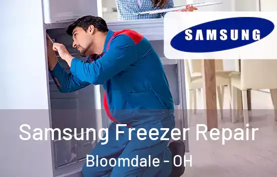  Samsung Freezer Repair Bloomdale - OH