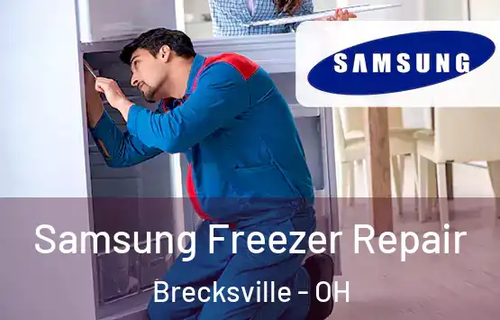  Samsung Freezer Repair Brecksville - OH