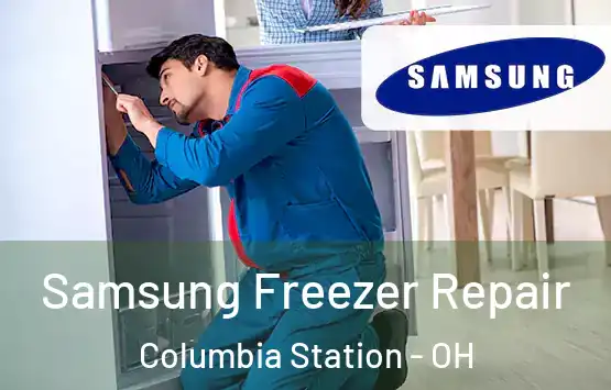  Samsung Freezer Repair Columbia Station - OH