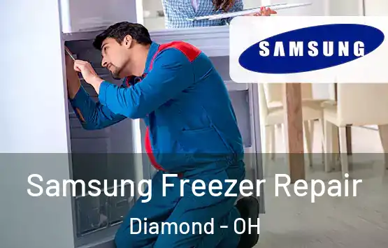  Samsung Freezer Repair Diamond - OH