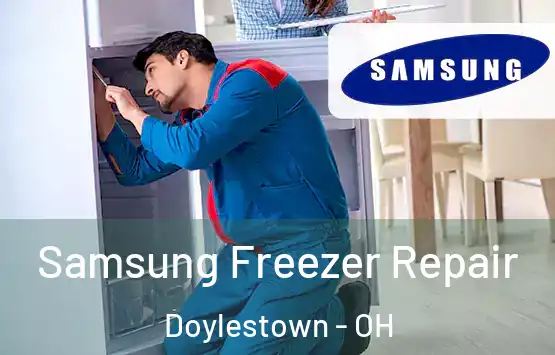  Samsung Freezer Repair Doylestown - OH