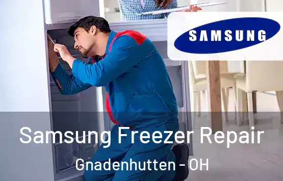  Samsung Freezer Repair Gnadenhutten - OH