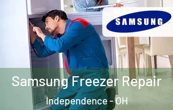  Samsung Freezer Repair Independence - OH