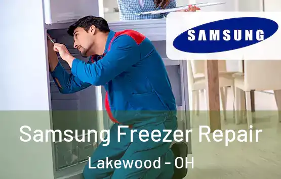 Samsung Freezer Repair Lakewood - OH