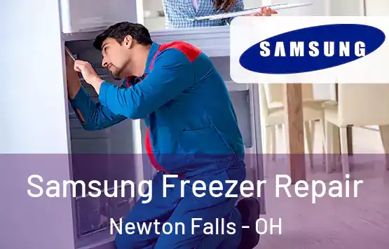  Samsung Freezer Repair Newton Falls - OH