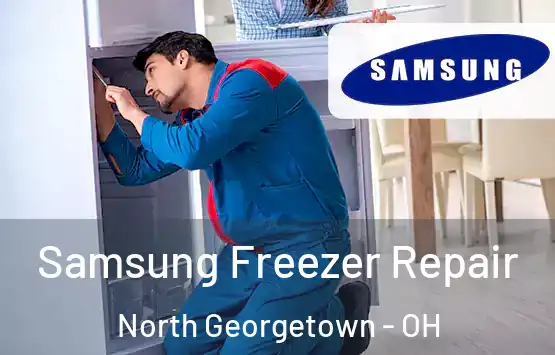  Samsung Freezer Repair North Georgetown - OH
