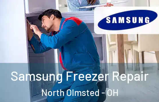 Samsung Freezer Repair North Olmsted - OH