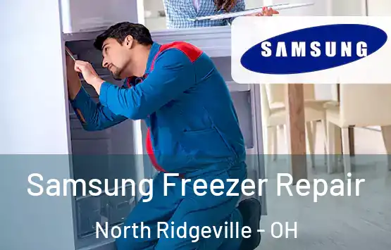  Samsung Freezer Repair North Ridgeville - OH