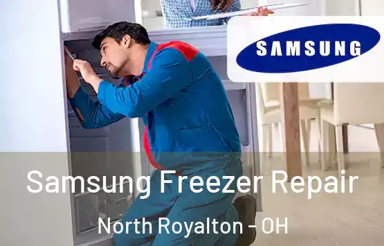  Samsung Freezer Repair North Royalton - OH