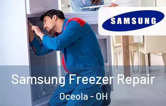  Samsung Freezer Repair Oceola - OH