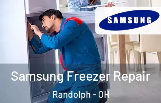  Samsung Freezer Repair Randolph - OH