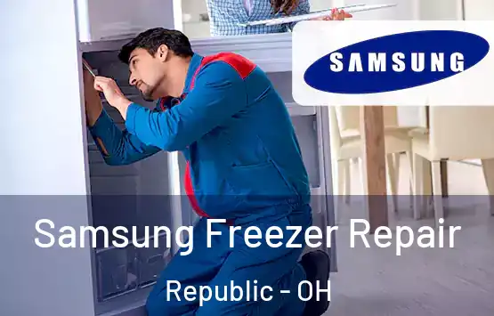  Samsung Freezer Repair Republic - OH