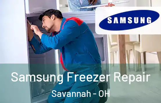  Samsung Freezer Repair Savannah - OH