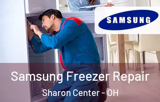  Samsung Freezer Repair Sharon Center - OH