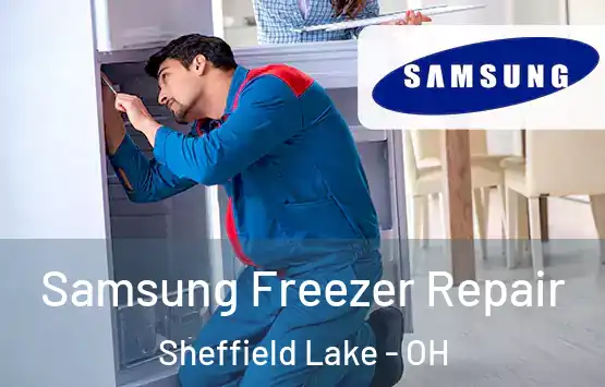  Samsung Freezer Repair Sheffield Lake - OH