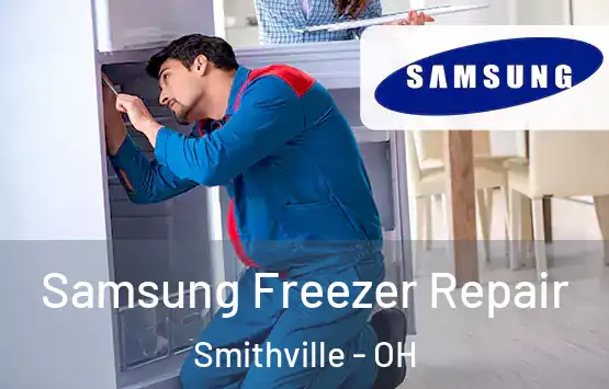  Samsung Freezer Repair Smithville - OH