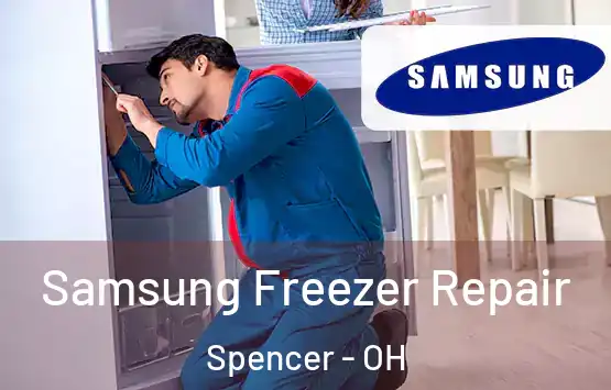  Samsung Freezer Repair Spencer - OH