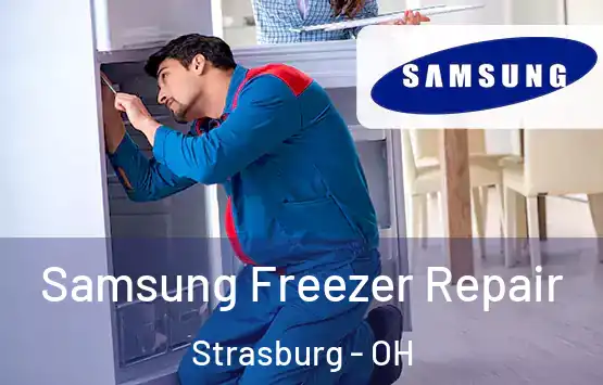 Samsung Freezer Repair Strasburg - OH