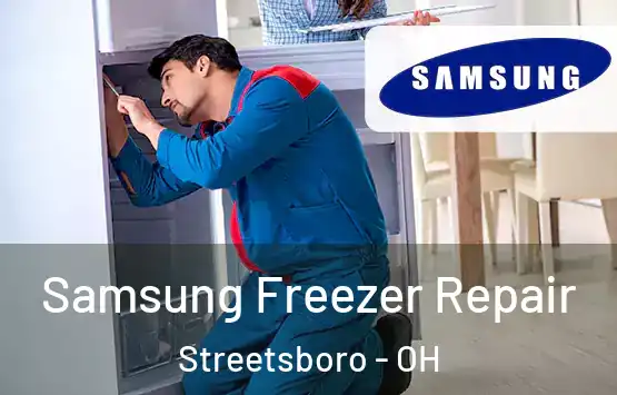  Samsung Freezer Repair Streetsboro - OH