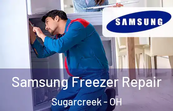  Samsung Freezer Repair Sugarcreek - OH