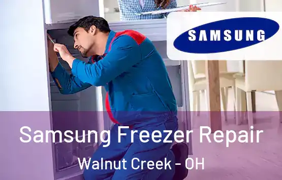  Samsung Freezer Repair Walnut Creek - OH