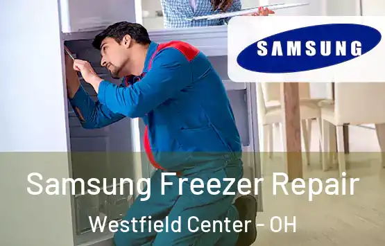  Samsung Freezer Repair Westfield Center - OH