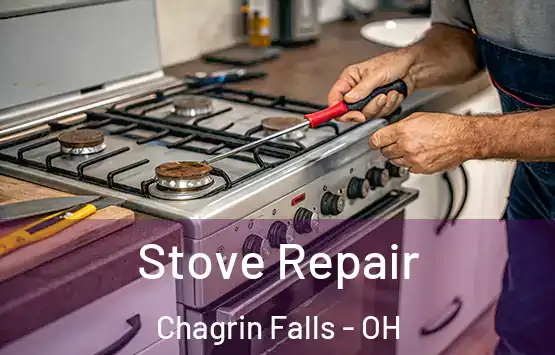  Stove Repair Chagrin Falls - OH