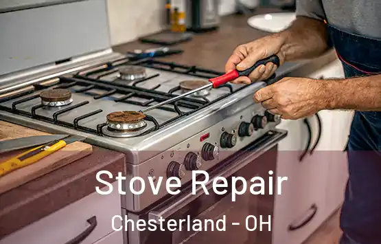  Stove Repair Chesterland - OH