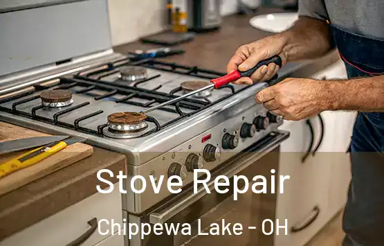  Stove Repair Chippewa Lake - OH