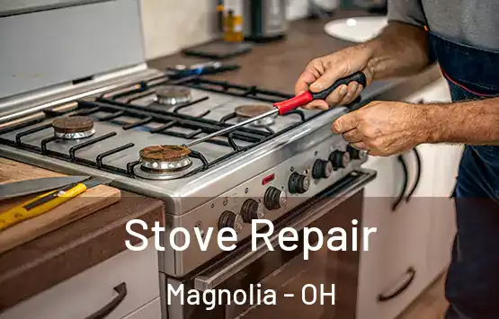  Stove Repair Magnolia - OH
