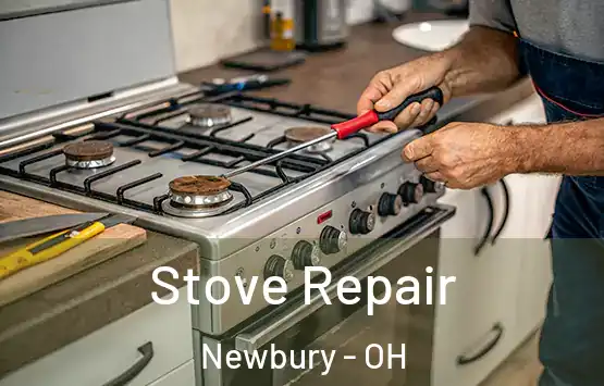  Stove Repair Newbury - OH