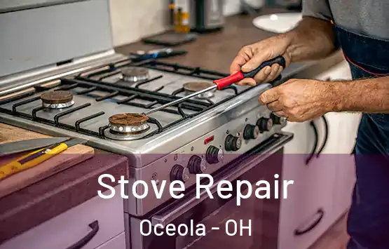  Stove Repair Oceola - OH
