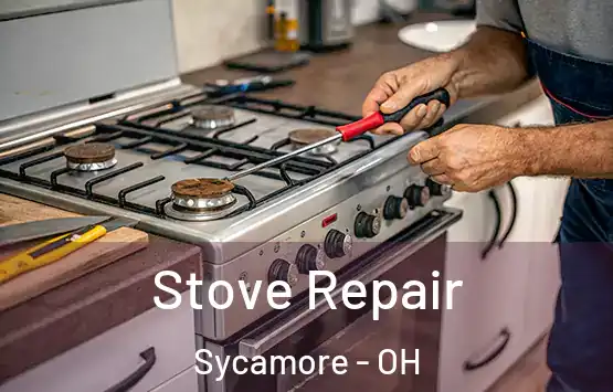  Stove Repair Sycamore - OH