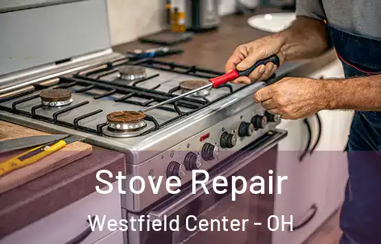  Stove Repair Westfield Center - OH