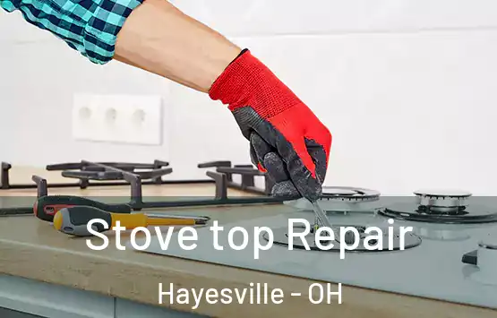  Stove top Repair Hayesville - OH