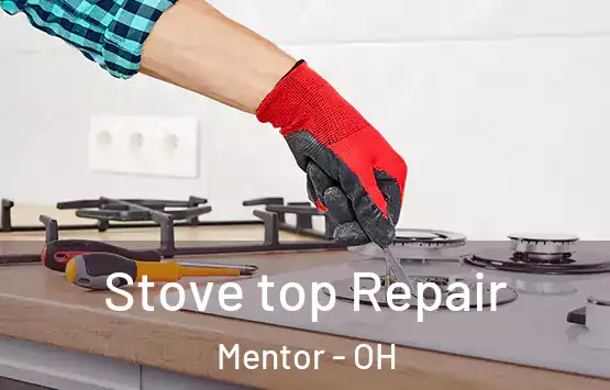  Stove top Repair Mentor - OH